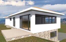 Proiect pentru doua case individuale autorizate! Zona Tauti ! 