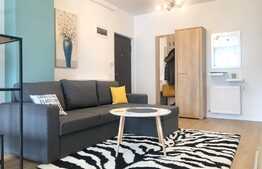 Apartament 2 camere, lux, totul nou, zona strazii Paris