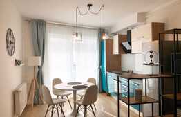 Apartament 2 camere, lux, totul nou, zona strazii Paris