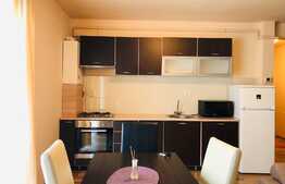 Apartament 2 camere, 50mp, zona strazii Stejarului