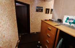 Gradina, garaj, terasa, 2 bai, 2 balcoane, zona Sub Cetate