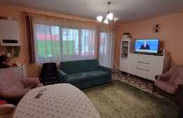 Gradina, garaj, terasa, 2 bai, 2 balcoane, zona Sub Cetate