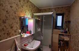 Gradina, garaj, terasa, 2 bai, 2 balcoane, zona Sub Cetate