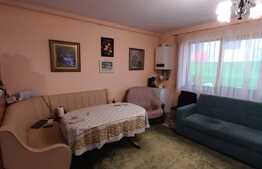 Gradina, garaj, terasa, 2 bai, 2 balcoane, zona Sub Cetate