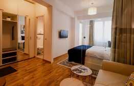 Apartament 1 camera cochet ultracentral, mobilat si utilat lux, afacere la cheie, in zona Sora Shopping Center