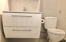 Apartament 2 camere, 45 mp, pet friendly, totul nou, zona Taietura Turcului