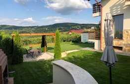 De vanzare casa pentru familia ta! 160 mp utili, 1000 mp teren, garaj, finisata modern lux, la cheie!