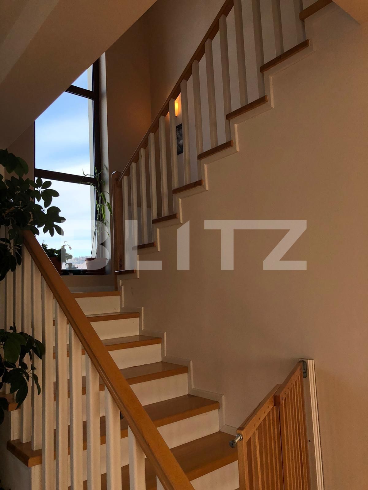 Casa de vânzare 4 camere Exterior Sud - 48273CV | BLITZ Cluj-Napoca | Poza9