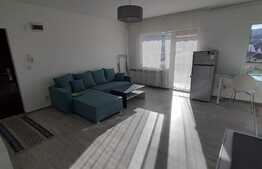 Oportunitate pentru investitie, recent renovat, 2 balcoane, zona Stejarului