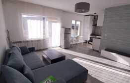 Oportunitate pentru investitie, recent renovat, 2 balcoane, zona Stejarului