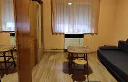 Garsoniera spatioasa in zona linistita, 21mp, zona Autogara