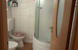 Apartament in vila, 70 mp, loc de parcare, zona Constantin Nottara