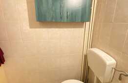 Grasoniera 30 mp, zona strazii Calea Manastur