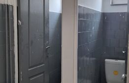 Spatiu comercial, 43 mp, ideal pentru magazin/showroom/delivery, zona Plevnei