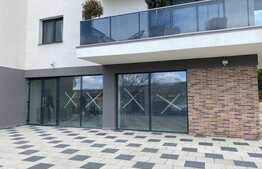 Spatiu comercial premium, 389 mp open space, zona Borhanci