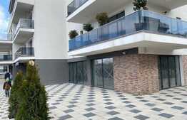 Spatiu comercial premium, 389 mp open space, zona Borhanci