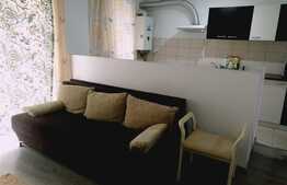 2 camere, 52 mp., gradina 41 mp., zona Porii