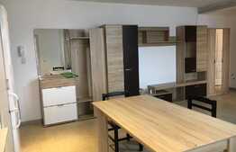 Apartament 2 camere, 48 mp, zona strazii Sesul de Sus