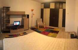 Apartament 1 camera, decomandata, 40 mp, zona Kaufland