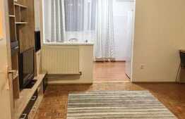 Garsoniera de inchiriat, 28 mp, zona Iulius Mall