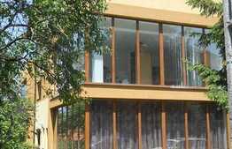 Geamuri tip vitrina, 75 mp, pret oportun!in cartierul Andrei Muresanu!