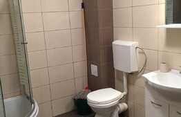 Apartament 2 camere, 42 mp, zona strazii Teilor