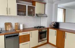 Apartament cu 3 camere, prima inchiriere, 2 parcari, zona strazii Zaharia Stancu