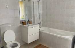 Apartament cu 3 camere, prima inchiriere, 2 parcari, zona strazii Zaharia Stancu