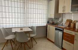 Apartament cu 3 camere, prima inchiriere, 2 parcari, zona strazii Zaharia Stancu