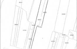 Teren pretabil pentru hale sau spatii logistica