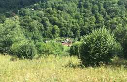 Teren de vanzare, 2052 mp, Valea Ierii