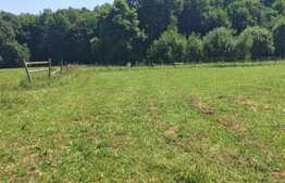 Teren de vanzare, 3080 mp, zona Terasei Capus