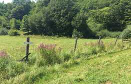 Teren de vanzare, 3080 mp, zona Terasei Capus