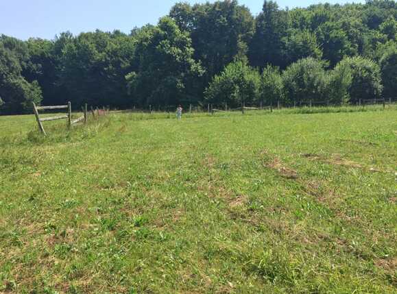 Teren de vânzare Exterior Vest - 48407TV | BLITZ Cluj-Napoca | Poza2