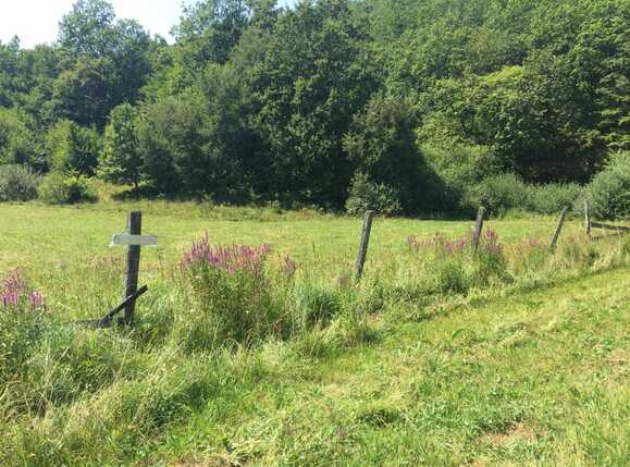 Teren de vânzare Exterior Vest - 48407TV | BLITZ Cluj-Napoca | Poza3