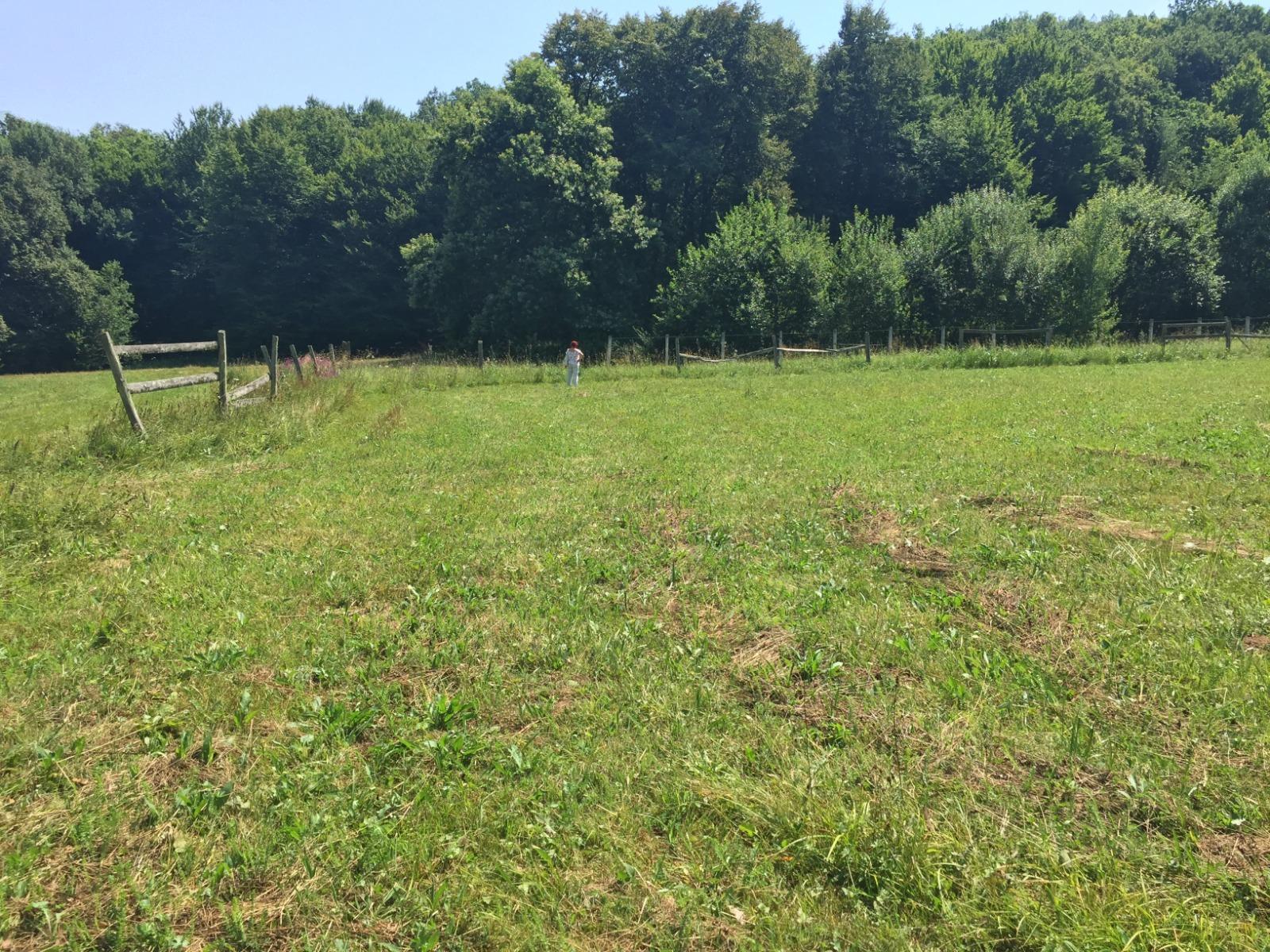 Teren de vânzare Exterior Vest - 48407TV | BLITZ Cluj-Napoca | Poza2