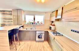 Apartament 3 camere, 80 mp, terasa 200 mp, parcare, pet friendly, zona Hotel Gala