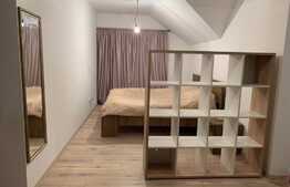 Apartament cu priveliste deosebita! Zona Terra ! 