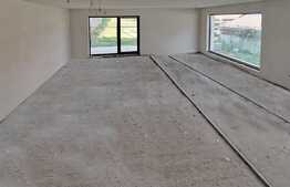 Casa individuala de vanzare, cu teren de 766 mp, Dambul Rotund