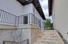 Casa individuala de vanzare, cu teren de 766 mp, Dambul Rotund