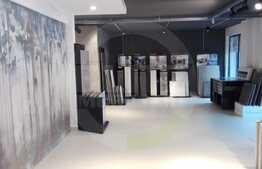 Spatiu de lux pentru o afacere de succes, 207 mp, zona Buna ziua, ideal showroom