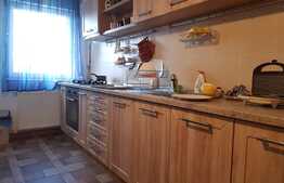 Oportunitate investitie! Apartament 2 camere, decomandat, 61mp! Zona VIVO/BMW!