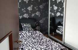 De vanzare casa individuala 270 mp, teren 500, Gruia!