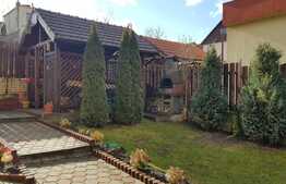 De vanzare casa individuala 270 mp, teren 500, Gruia!