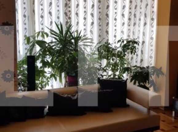 Casa de vânzare 6 camere Gruia - 48448CV | BLITZ Cluj-Napoca | Poza10