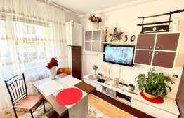 Garsoniera, 22 mp, mobilata modern, zona Profi