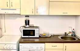 Garsoniera, 22 mp, mobilata modern, zona Profi