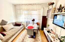 Garsoniera, 22 mp, mobilata modern, zona Profi