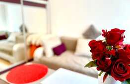 Garsoniera, 22 mp, mobilata modern, zona Profi