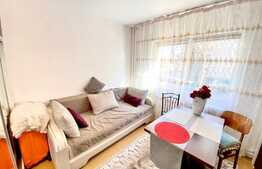 Garsoniera, 22 mp, mobilata modern, zona Profi